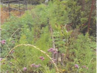 埼玉県羽生市 羽生駅30分 土地 178万円の競売物件 #8