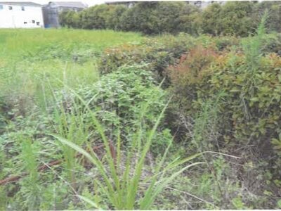 埼玉県羽生市 羽生駅30分 土地 178万円の競売物件 #9