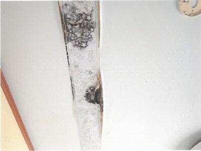 埼玉県羽生市 羽生駅 戸建て 238万円の競売物件 #9