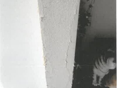 埼玉県行田市 行田市駅7分 戸建て 681万円の競売物件 #11