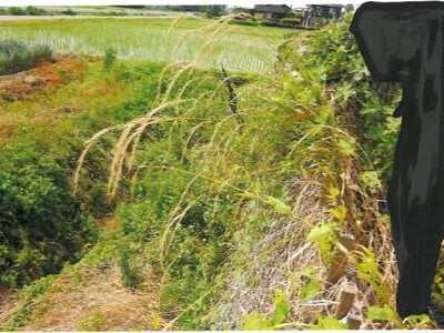 埼玉県児玉郡神川町 丹荘駅11分 戸建て 189万円の競売物件 #5