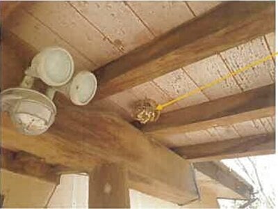 埼玉県北葛飾郡杉戸町 東武動物公園駅 戸建て 779万円の競売物件 #20