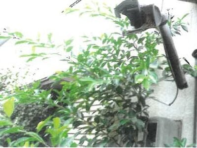 愛知県名古屋市緑区 名和駅15分 戸建て 650万円の競売物件 #8