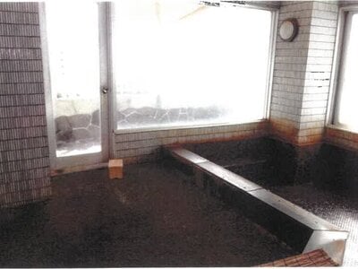 愛知県知多郡南知多町 内海駅18分 戸建て 1,010万円の競売物件 #10