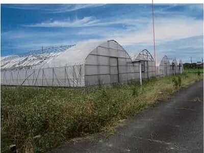 愛知県豊橋市 二川駅18分 農地 439万円の競売物件 #8