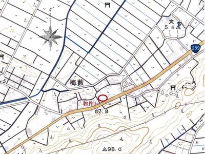 愛知県田原市 農地 43万円の競売物件 #5