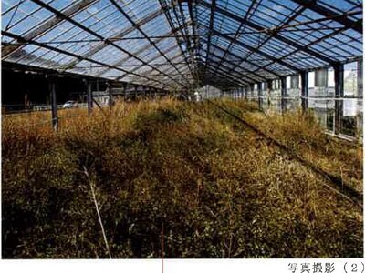 愛知県田原市 農地 43万円の競売物件 #8