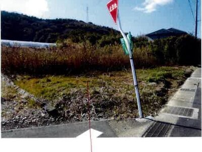 愛知県田原市 農地 75万円の競売物件 #2