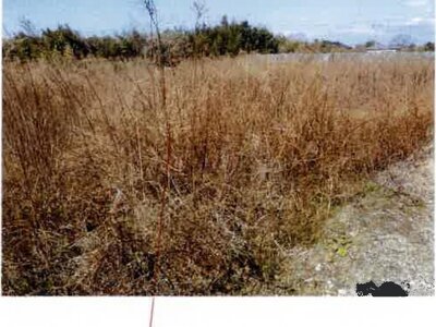 愛知県田原市 農地 75万円の競売物件 #3