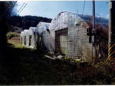 愛知県田原市 農地 75万円の競売物件 #4