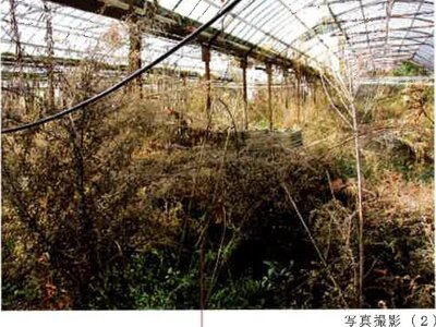 愛知県田原市 農地 75万円の競売物件 #8