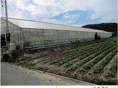 (値下げ) 愛知県田原市 三河田原駅 農地 40万円の競売物件 #5