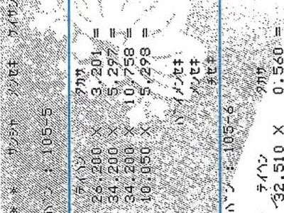 滋賀県野洲市 野洲駅 戸建て 1,455万円の競売物件 #4