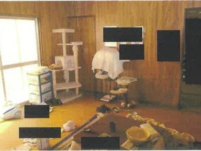 (値下げ) 兵庫県西宮市 西宮名塩駅24分 戸建て 77万円の競売物件 #7