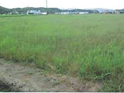 鳥取県鳥取市 津ノ井駅26分 農地 66万円の競売物件 #1