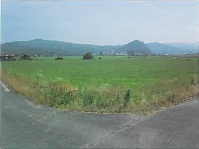 鳥取県鳥取市 津ノ井駅26分 農地 66万円の競売物件 #2