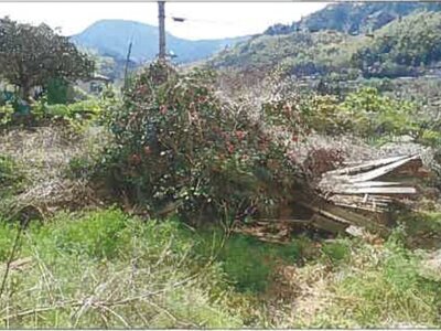 (値下げ) 山口県大島郡周防大島町 大畠駅 土地 26万円の競売物件 #6