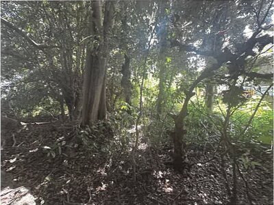 (値下げ) 佐賀県神埼郡吉野ヶ里町 神埼駅16分 戸建て 81万円の競売物件 #18