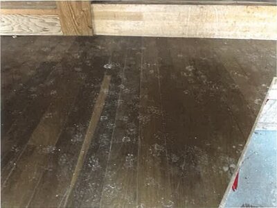 佐賀県多久市 多久駅11分 戸建て 412万円の競売物件 #22