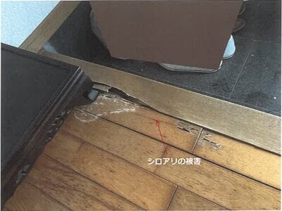 佐賀県多久市 多久駅11分 戸建て 412万円の競売物件 #7