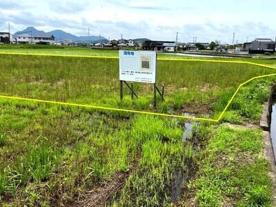 香川県丸亀市 讃岐塩屋駅13分 農地 162万円の国有財産物件 #1