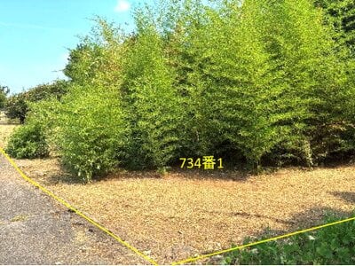 香川県丸亀市 羽間駅30分 土地 148万円の国有財産物件 #2