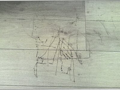 北海道河東郡音更町 柏林台駅 戸建て 2,645万円の競売物件 #11