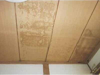 福島県福島市 笹木野駅4分 戸建て 358万円の競売物件 #12