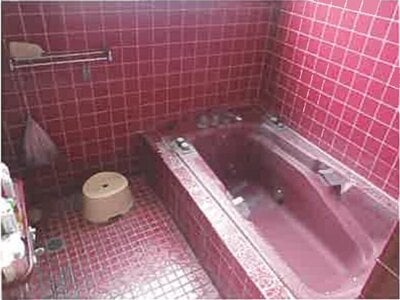 埼玉県日高市 高麗川駅3分 戸建て 4,452万円の競売物件 #20