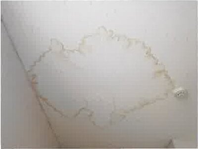 埼玉県日高市 高麗川駅3分 戸建て 4,452万円の競売物件 #26