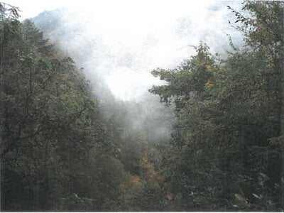 岐阜県高山市 土地 147万円の競売物件 #8