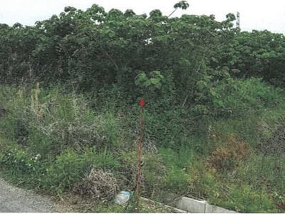 岐阜県岐阜市 関駅 土地 380万円の競売物件 #1