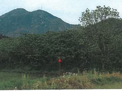 岐阜県岐阜市 関駅 土地 380万円の競売物件 #3