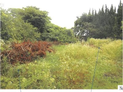 岐阜県岐阜市 蘇原駅 土地 198万円の競売物件 #16