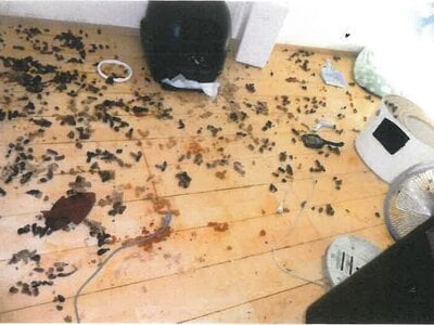 愛知県額田郡幸田町 幸田駅6分 戸建て 1,575万円の競売物件 #5