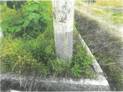 滋賀県高島市 新旭駅21分 土地 195万円の競売物件 #2