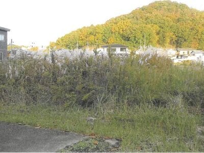 京都府南丹市 園部駅12分 農地 358万円の競売物件 #3