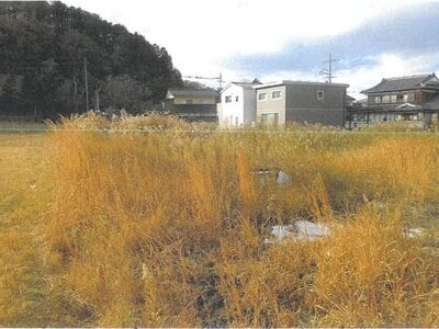 京都府南丹市 園部駅12分 農地 358万円の競売物件 #4