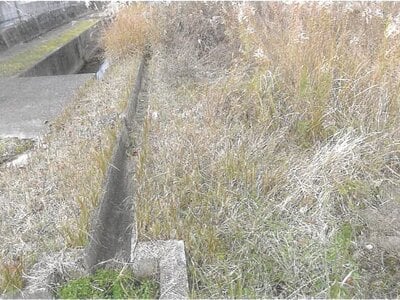 京都府南丹市 園部駅12分 農地 358万円の競売物件 #6