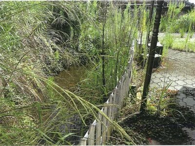 鹿児島県曽於郡大崎町 戸建て 407万円の競売物件 #9