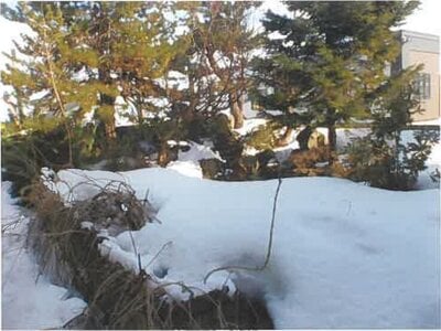 (値下げ) 青森県青森市 油川駅4分 戸建て 564万円の競売物件 #4