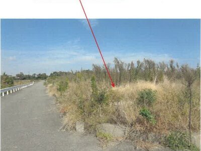 徳島県徳島市 徳島駅 農地 390万円の競売物件 #3