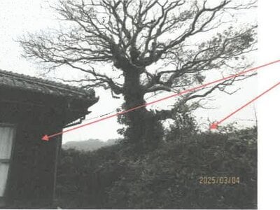 徳島県吉野川市 阿波川島駅17分 戸建て 199万円の競売物件 #20