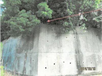 徳島県小松島市 中田駅4分 戸建て 122万円の競売物件 #14