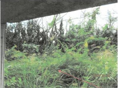 徳島県小松島市 中田駅4分 戸建て 122万円の競売物件 #5