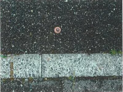 長野県松本市 松本駅 戸建て 722万円の競売物件 #12