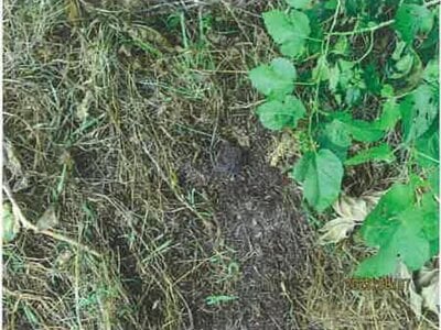 長野県松本市 松本駅 戸建て 722万円の競売物件 #13