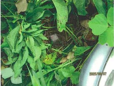 長野県松本市 松本駅 戸建て 722万円の競売物件 #14