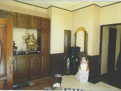 兵庫県神戸市中央区 新神戸駅6分 戸建て 3,405万円の競売物件 #17