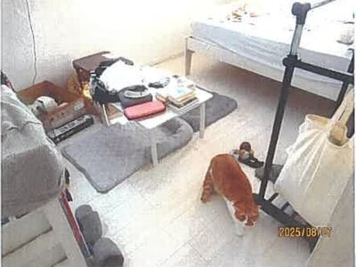 長野県諏訪市 茅野駅 戸建て 1,332万円の競売物件 #14